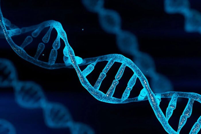 DNA-Strand
